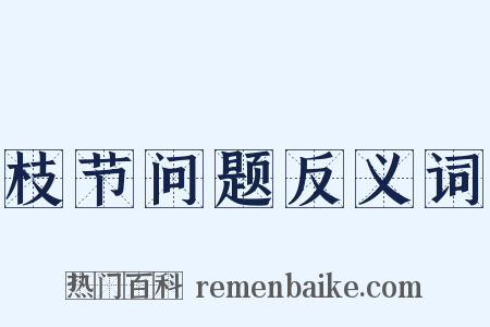 枝节问题反义词是什么意思的图片